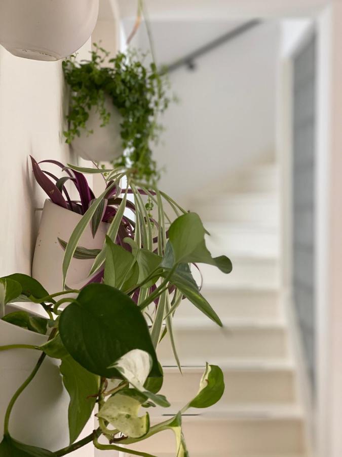 Romantic Wellness Bnb Noordwijk Esterno foto